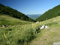2026-06-20 Sopralluogo Trail Duchessa 013